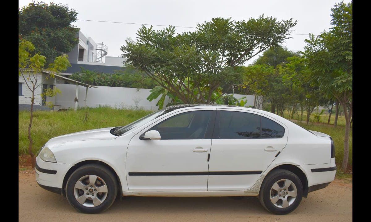 IMG-20221223-WA0019
